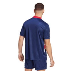 Camiseta Adidas Ajax De Ámsterdam Fanswear Icon -ADIDAS Ventas camiseta adidas ajax de amsterdam fanswear 2022 2023 night sky 2