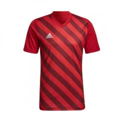 Camiseta Adidas Entrada 22 GFX M/c