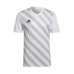 Camiseta Adidas Entrada 22 GFX M/c