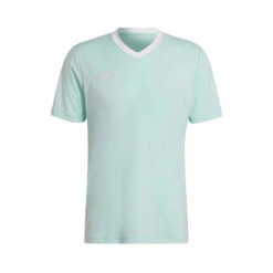 Camiseta Adidas Entrada 22 M/c