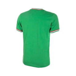 Camiseta COPA Mexico Pelé 1980's Retro -ADIDAS Ventas camiseta copa mexico pele 1980s retro football shirt green 2