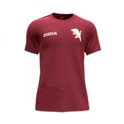 Camiseta Joma Torino FC Training 2022-2023
