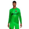Camiseta Nike FC Barcelona Primera Equipación Stadium Portero 2022-2023 1 Camiseta Nike FC Barcelona Primera Equipación Stadium Portero 2022-2023 -ADIDAS Ventas camiseta nike fc barcelona primera equipacion stadium portero 2022 2023 green strike mean green 0