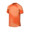 Camiseta Nike Gardien IV GK M/c