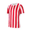 Camiseta Nike Striped Division IV M/c 2 Camiseta Nike Striped Division IV M/c -ADIDAS Ventas camiseta nike striped division iv mc white university red black 0