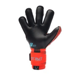 Guante Reusch Attrakt Gold X Evolution Cut -ADIDAS Ventas guante reusch attrakt gold x evolution cut rojo 3