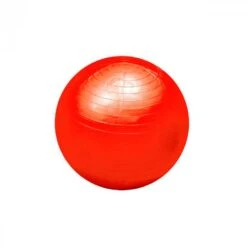 Pelota FitBall (55 Cm)