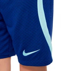 Pantalón Corto Nike Atlético De Madrid Training 2022-2023 Niño 8 Pantalón Corto Nike Atlético De Madrid Training 2022-2023 Niño -ADIDAS Ventas pantalon corto nike atletico de madrid training 2022 2023 nino deep royal blue copa 2