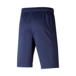 Pantalón Corto Nike Francia Stadium Primera/Segunda Equipación 2020-2021 Niño -ADIDAS Ventas pantalon corto nike francia stadium primerasegunda equipacion 2020 2021 blackened blue white 1