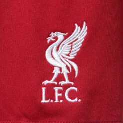 Pantalón Corto Nike Liverpool FC Primera Equipación Stadium 2022-2023 -ADIDAS Ventas pantalon corto nike liverpool fc primera equipacion stadium 2022 2023 tough red red 2